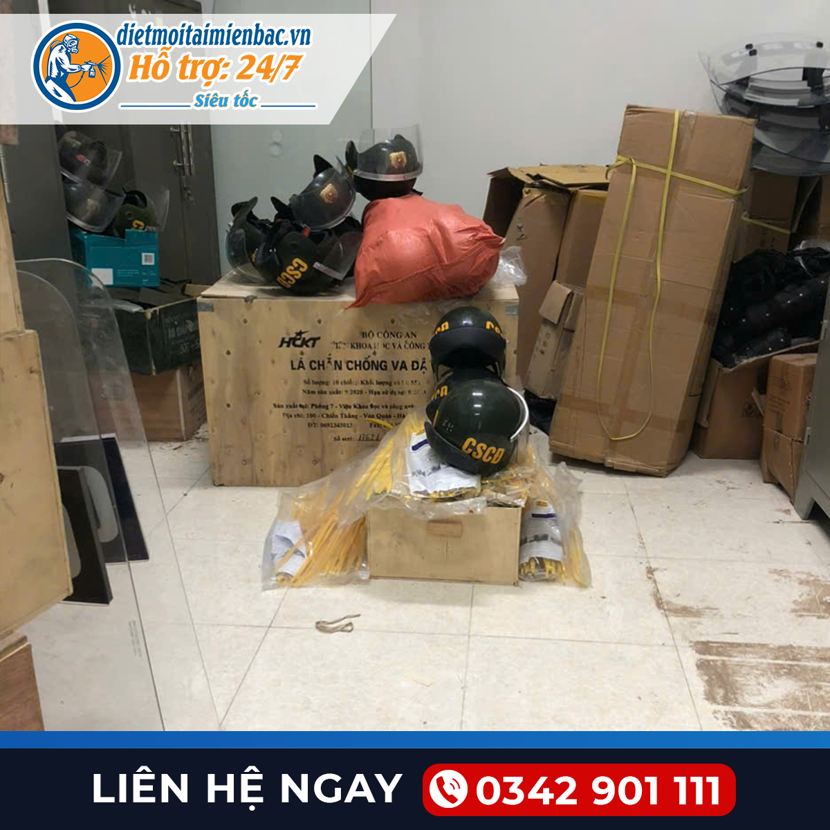 Diệt Mối Tại Đồ Sơn-Hải Phòng