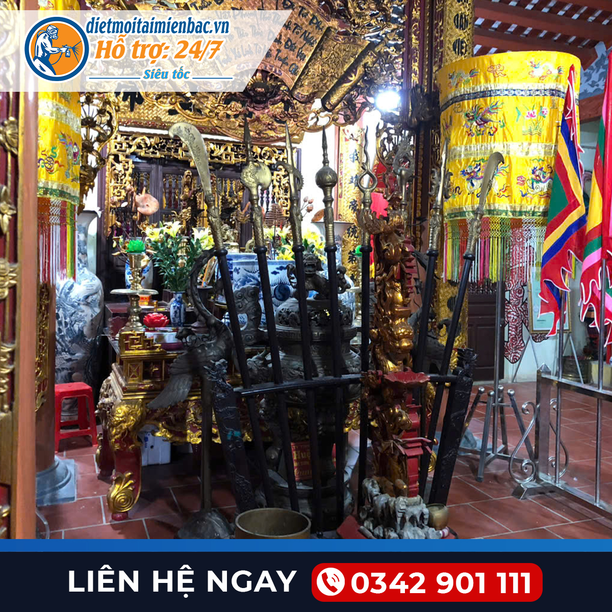 Diệt Mối Tại Thủy Nguyên-Hải Phòng