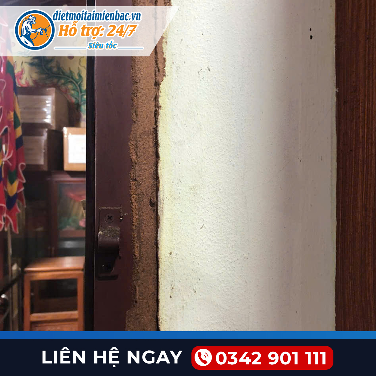 Diệt mối tại Nam Sách-Hải Dương