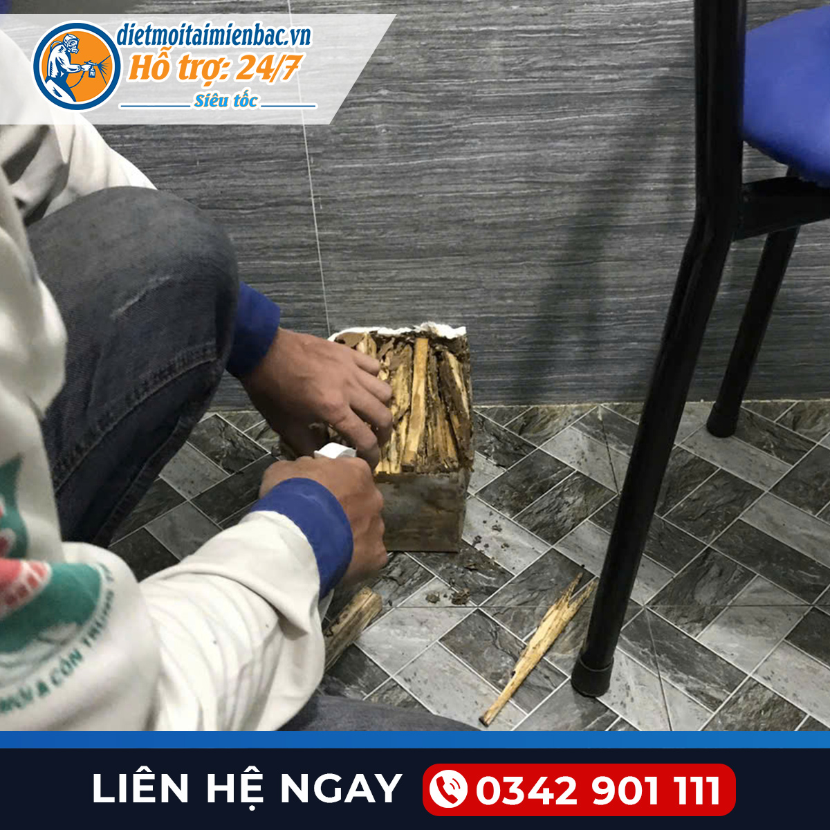 Diệt mối tại Thái Bình