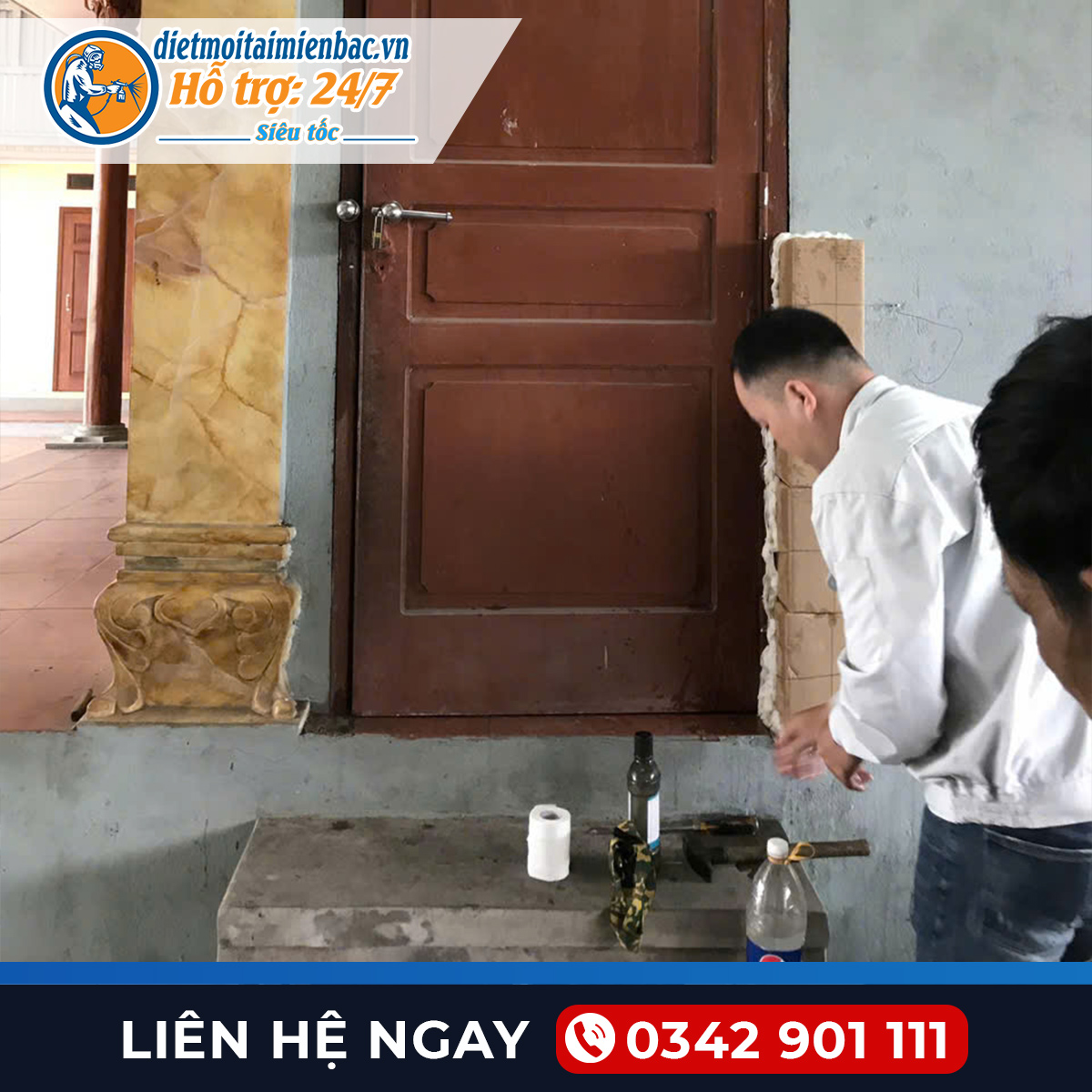 Diệt mối tại Quảng Ninh