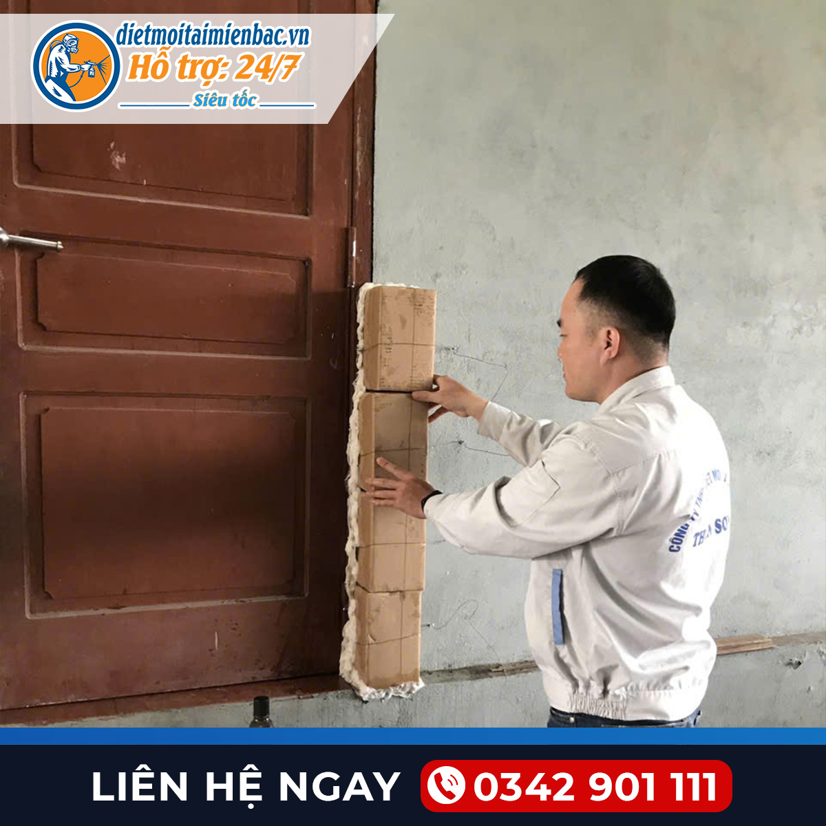 Diệt mối tại Hưng Yên